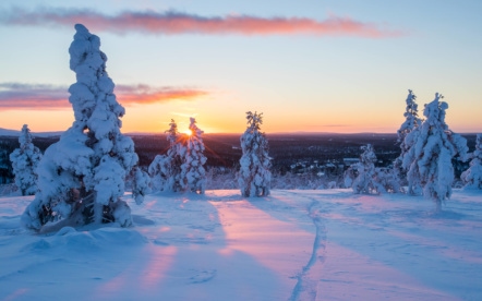 The End of the Polar Night in Finnish Lapland