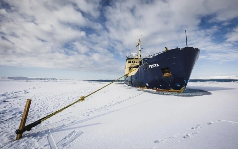Lire la suite à propos de l’article Expédition au Svalbard sur le MS Freya (4-10 mai 2018)