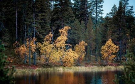 Autumn in Lapland is a new favourite