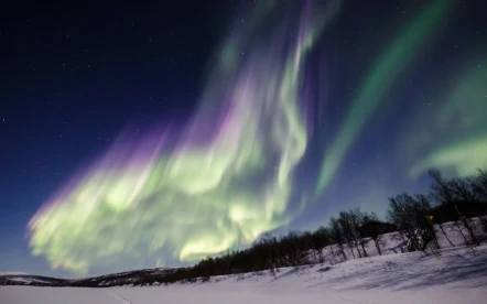 Read more about the article Real time northern lights video
