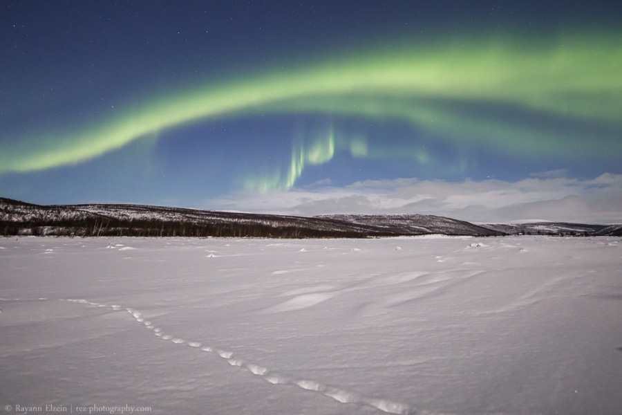 Fox tracks on the snow under the aurora in Utsjoki, Finnish Lapland