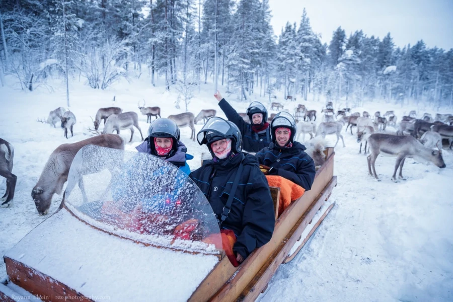 une partie des participants du stage photos aurores boréales entourés de rennes